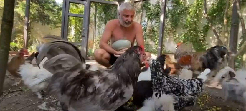 Сосо Павлиашвили утро в собственном курятнике.  Певец показал свое хозяйство и кур 