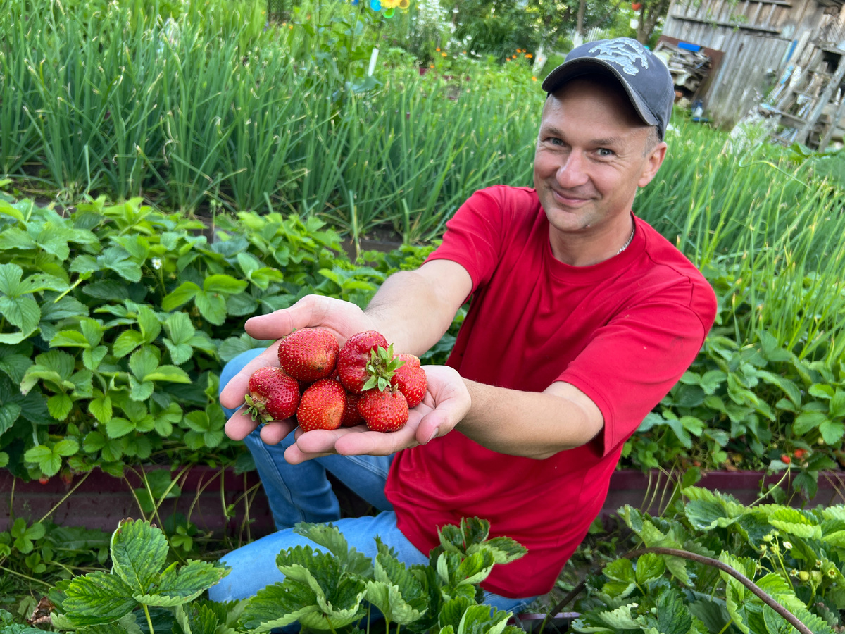 Все фото автора 