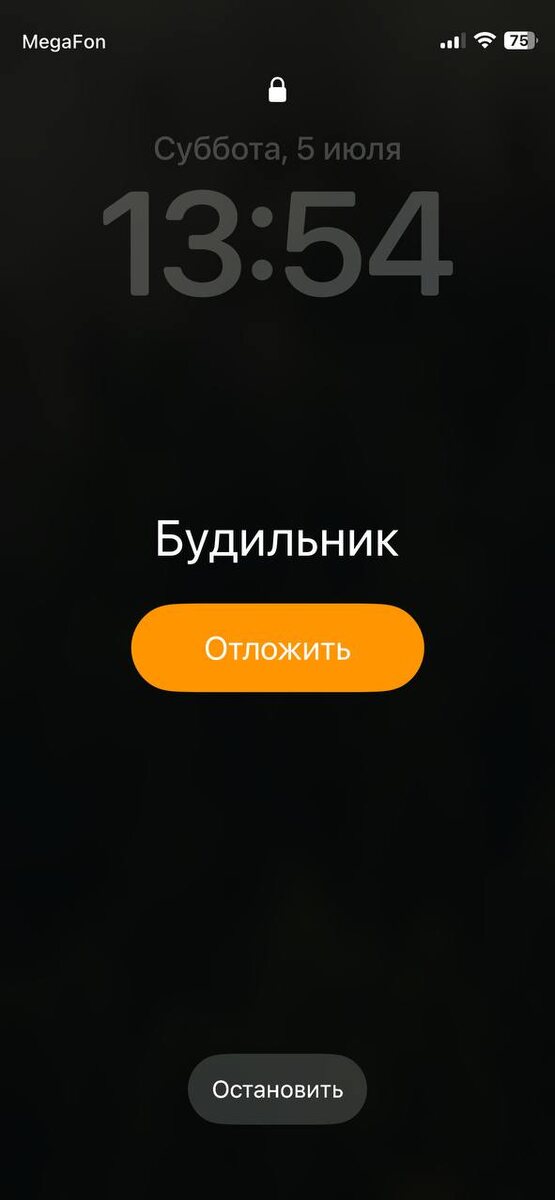 Мой субботний будильник