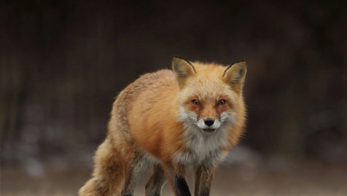     Источник: unsplash.com