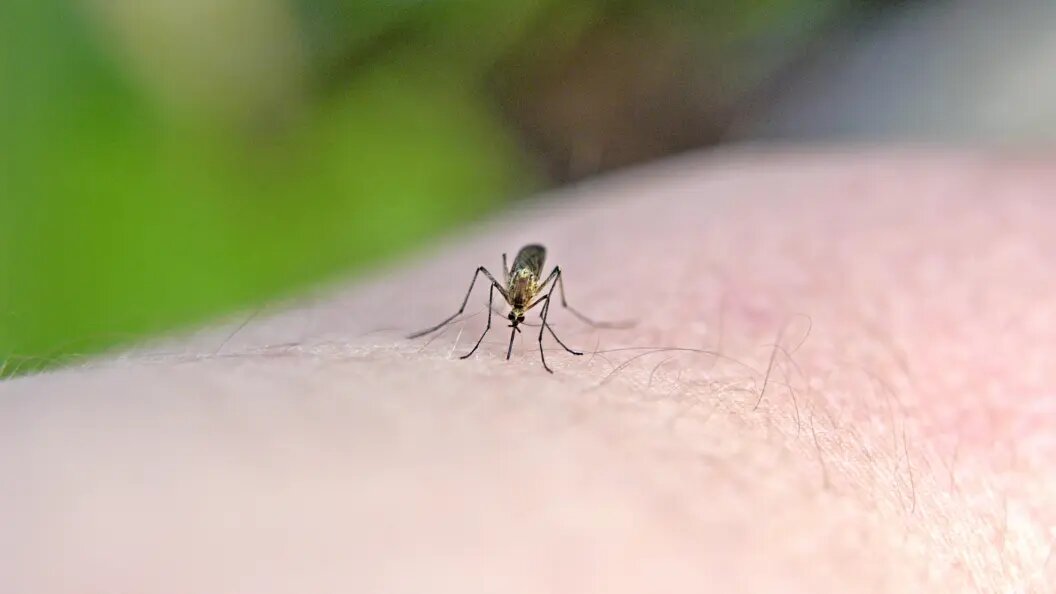    Christian Prandl/imageBROKER.com/Globallookpress