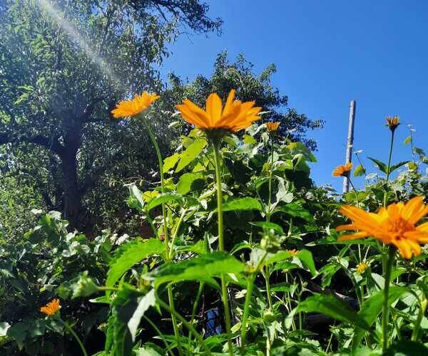    Фото Натальи Никитиной Ольга Дмитриенко