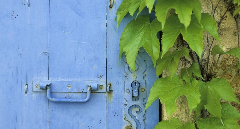    Michael Fischer/imageBROKER.com / www.globallookpress.com