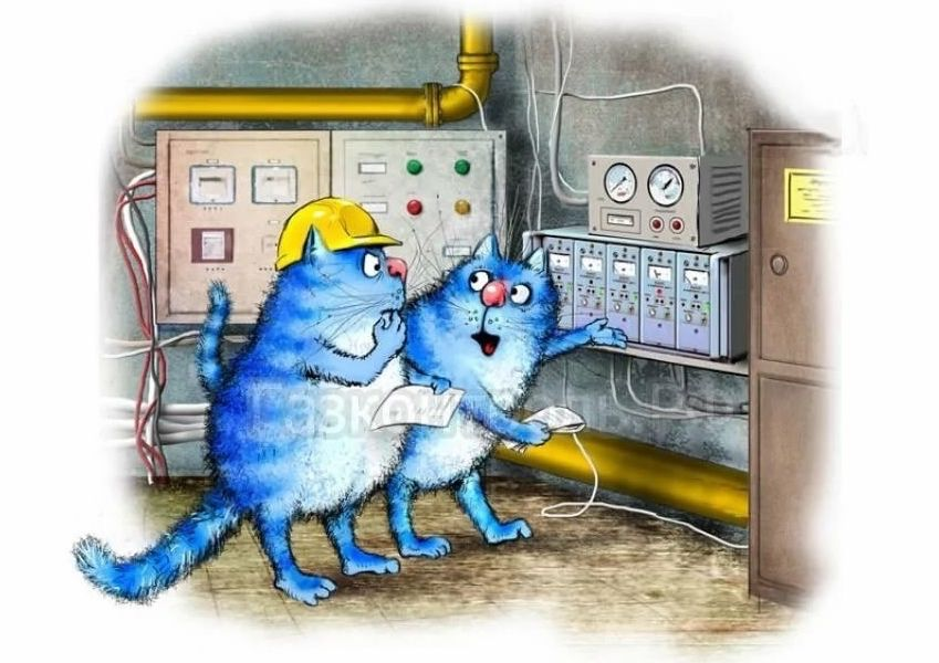 очаровательные коты Рины Зенюк