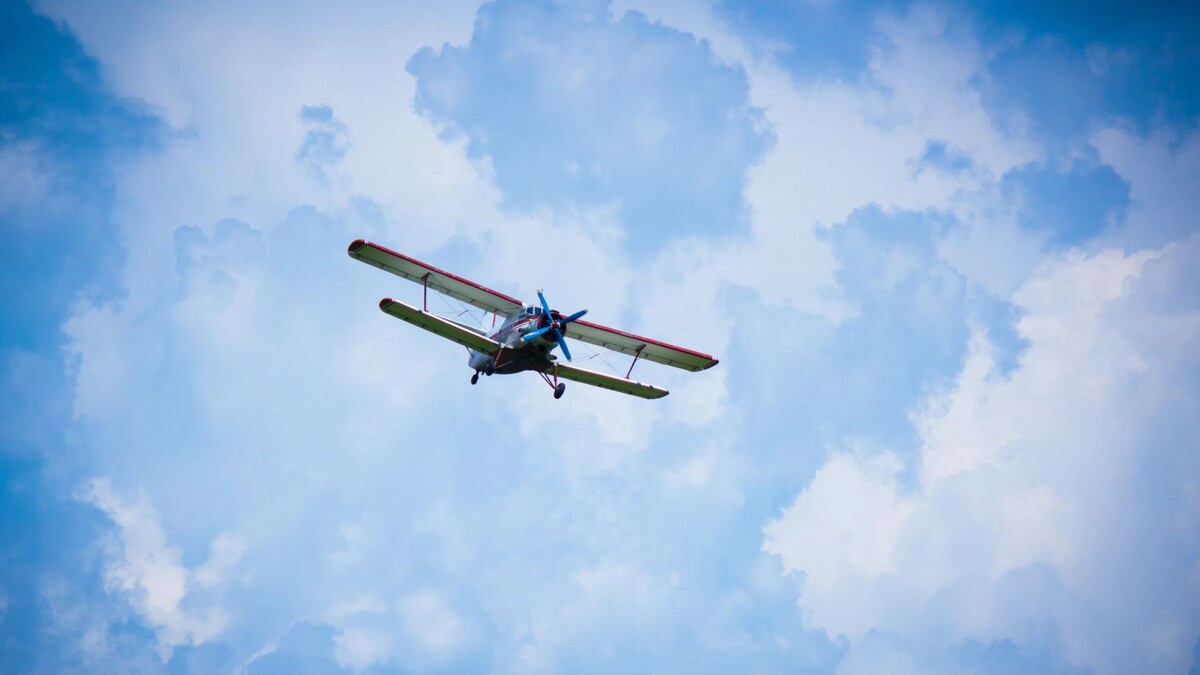    Фото: Danstudio/Shutterstock/Fotodom