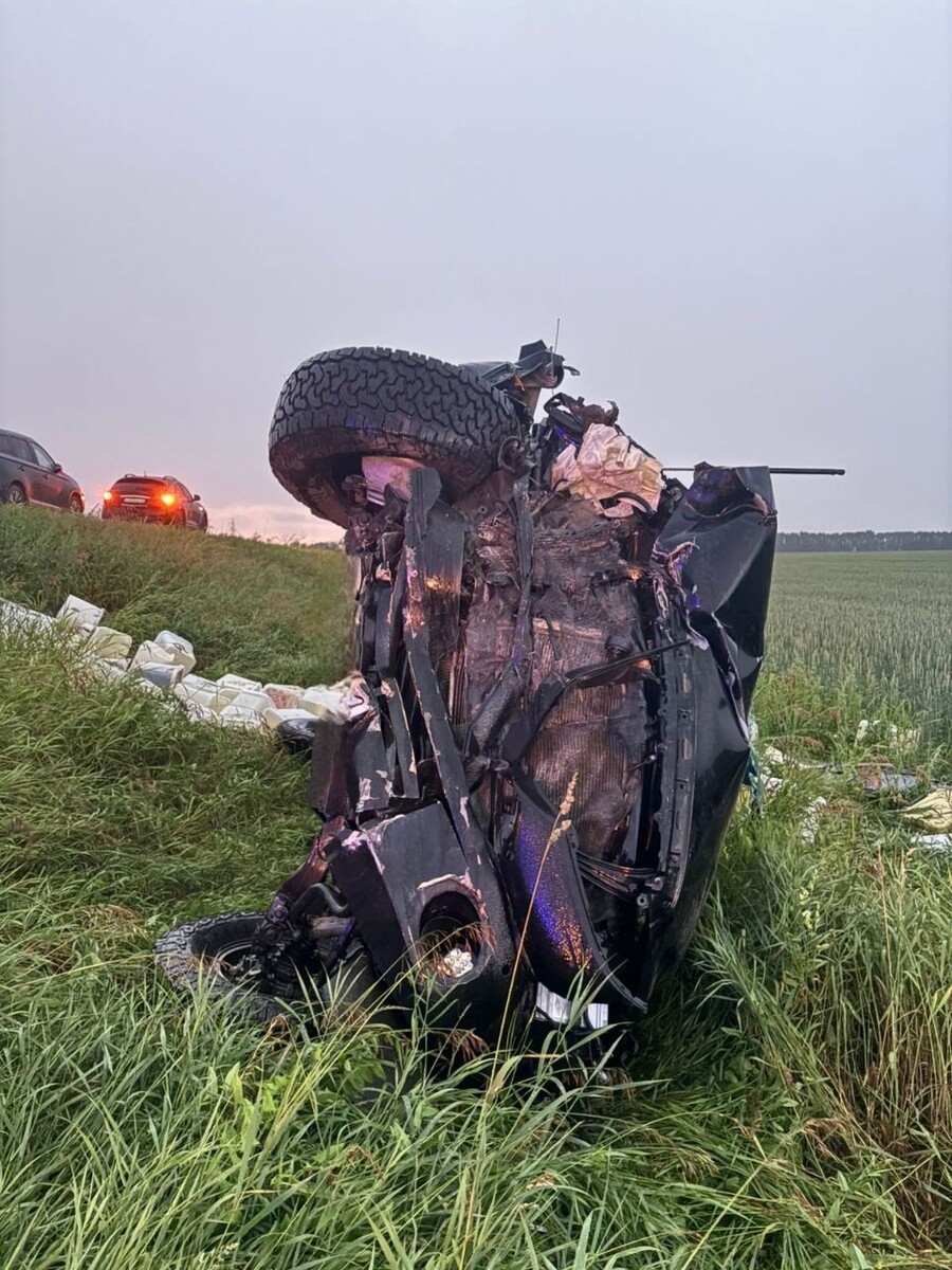    ДТП в Зональном районе. Источник: ГУ МВД по Алтайскому краю