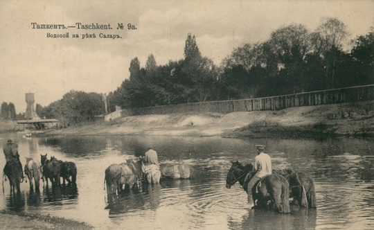 Водопой на канале Салар, почтовая открытка начала ХХ века.