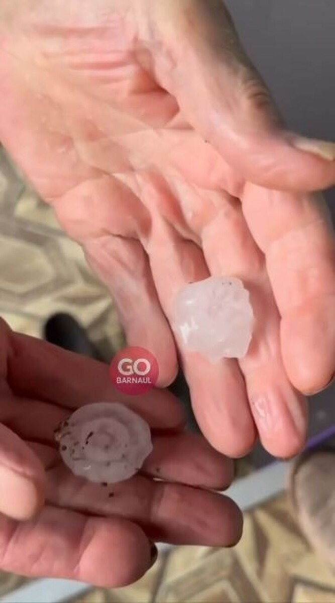    Град размером с грецкий орех выпал в Алтайском крае. Источник: GO_BARNAUL