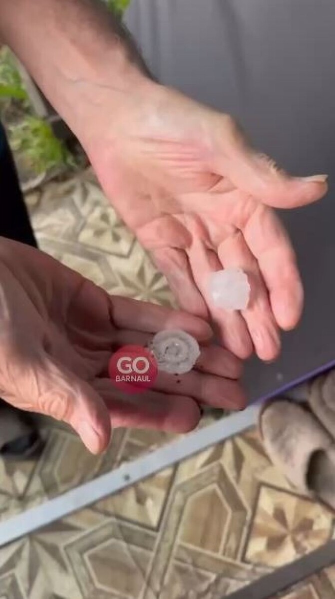    Град размером с грецкий орех выпал в Алтайском крае. Источник: GO_BARNAUL