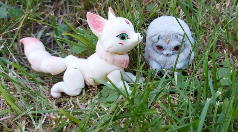 Лисятка и котенок. Фото автора канала