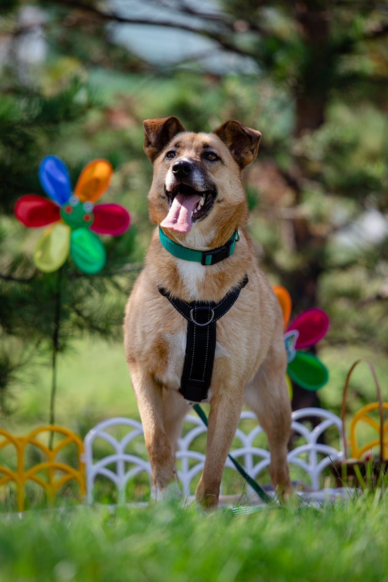 Айова на фотосессии в 2023 году.