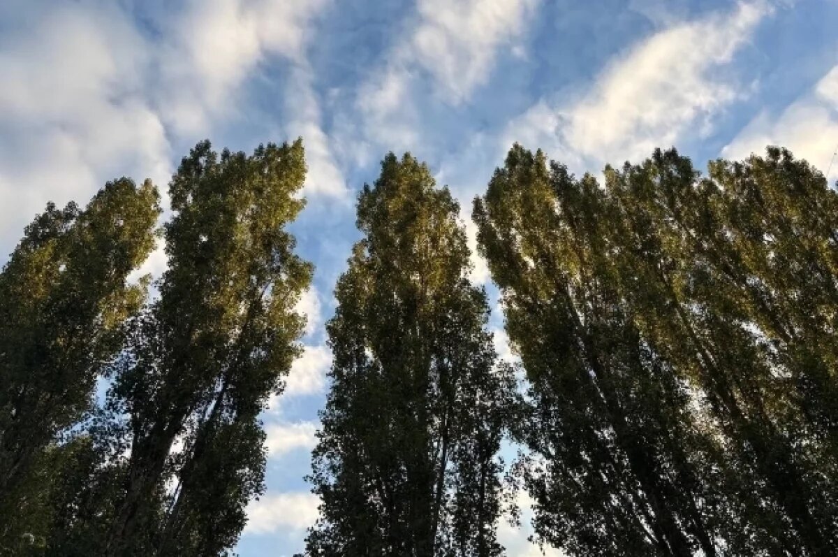    В Башкирии потеплеет до +28, но будут идти дожди