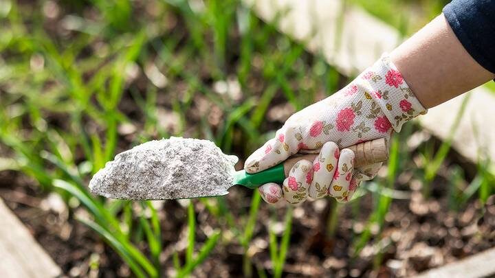  Фото: Shutterstock