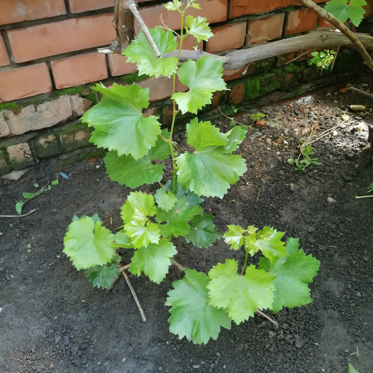 Фото автора.