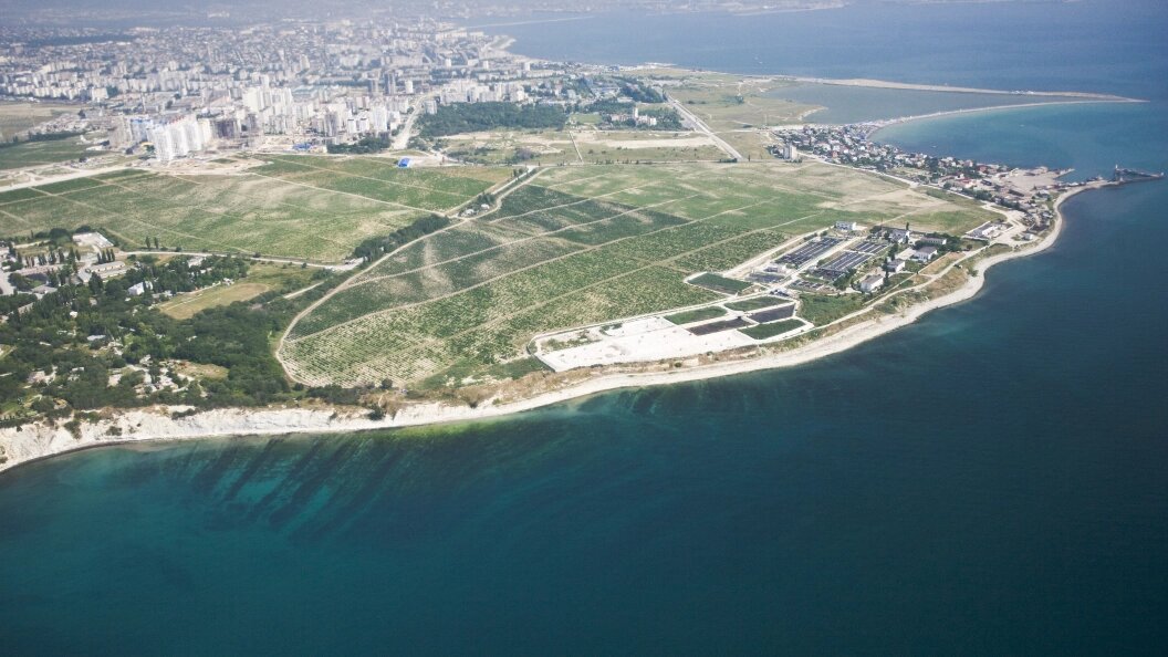    © Serguei Fomine/Globallookpress