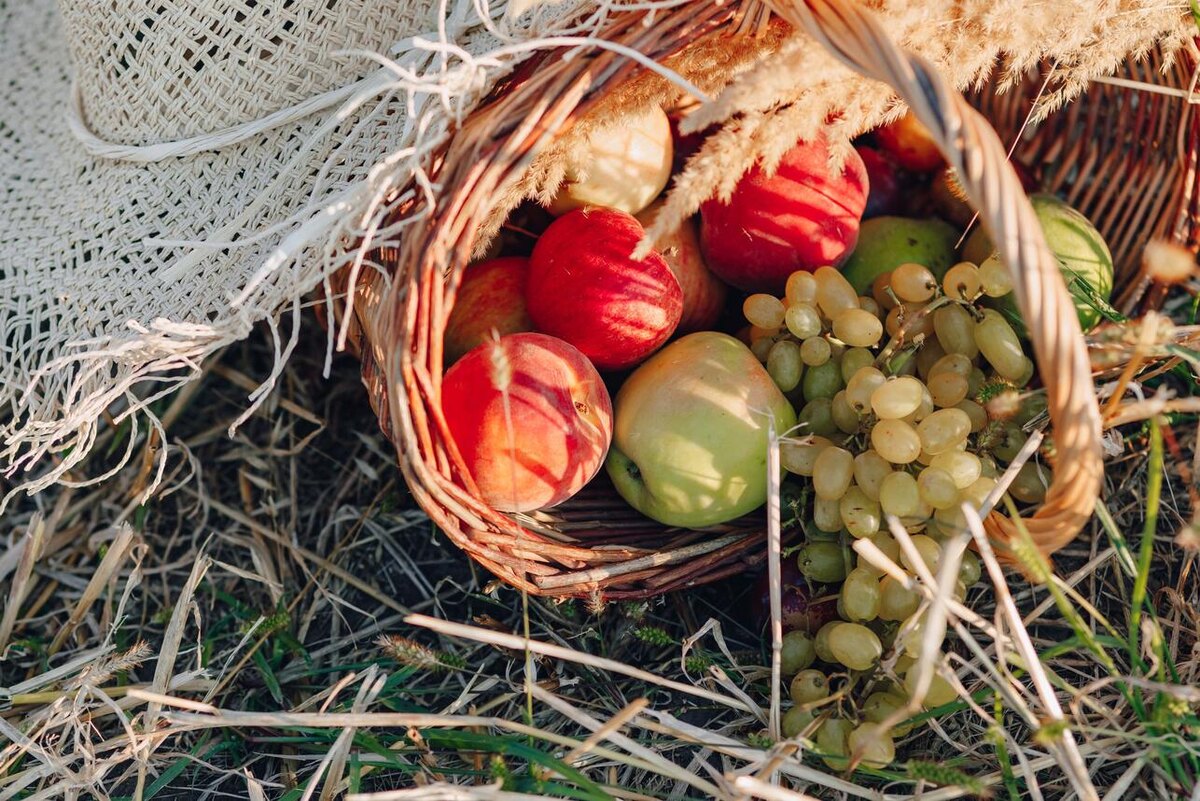     123RF/legion-media.ru