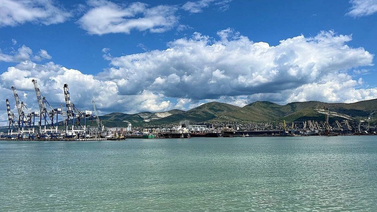    Фото: телеканал «Краснодар»