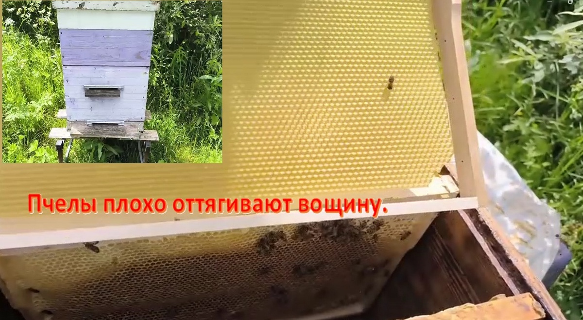 Фото из личного архива