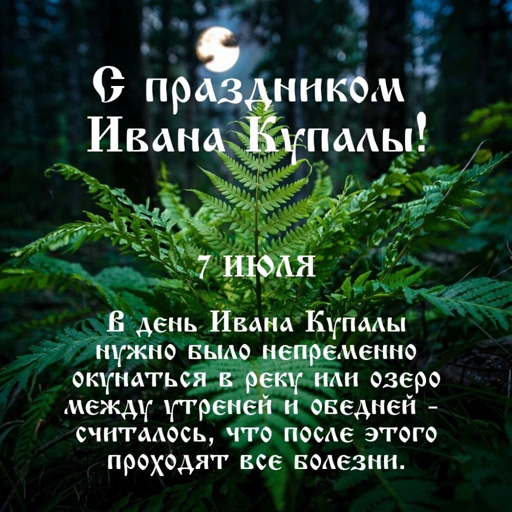    Фото: spb.aif.ru