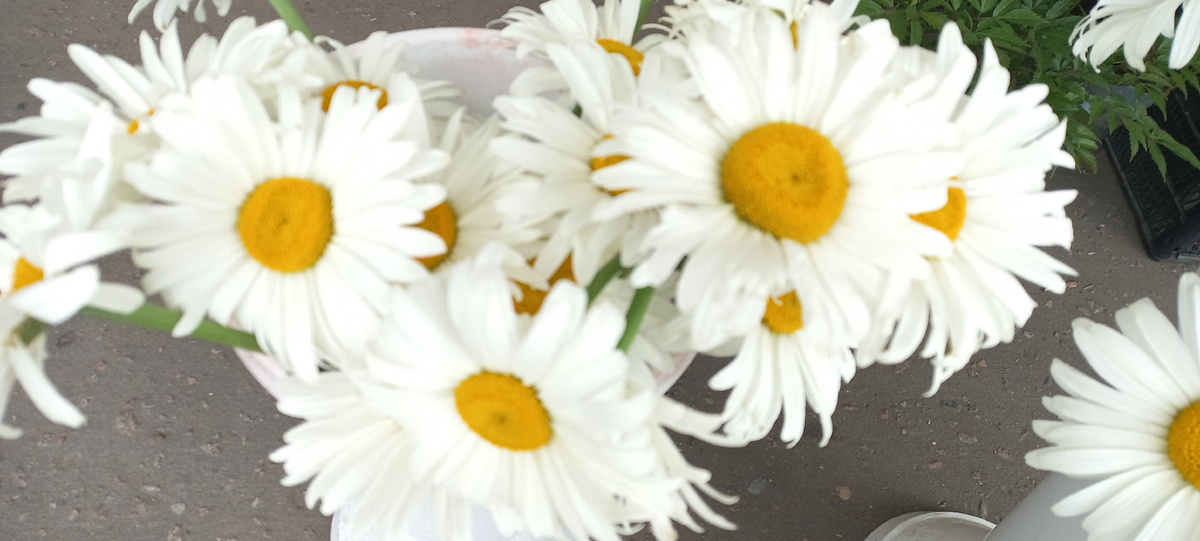 Личное фото