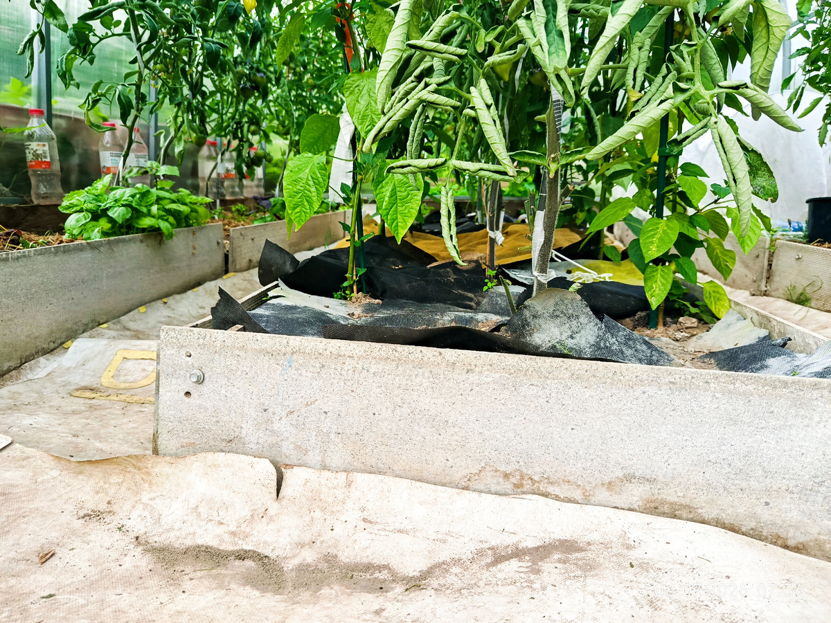 Продувается весь низ