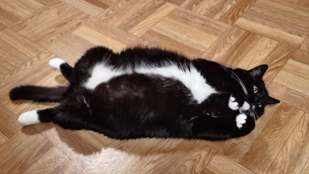    ФОТО: Царьград