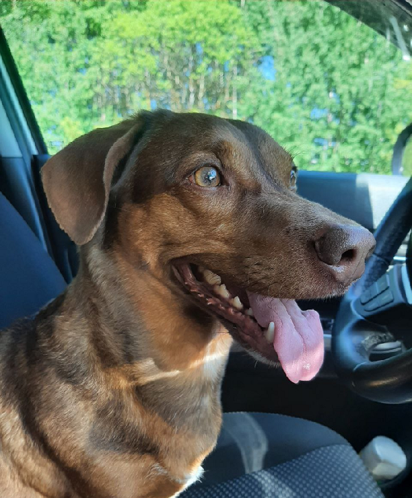 Опять в машине, опять в Москву... фото автора