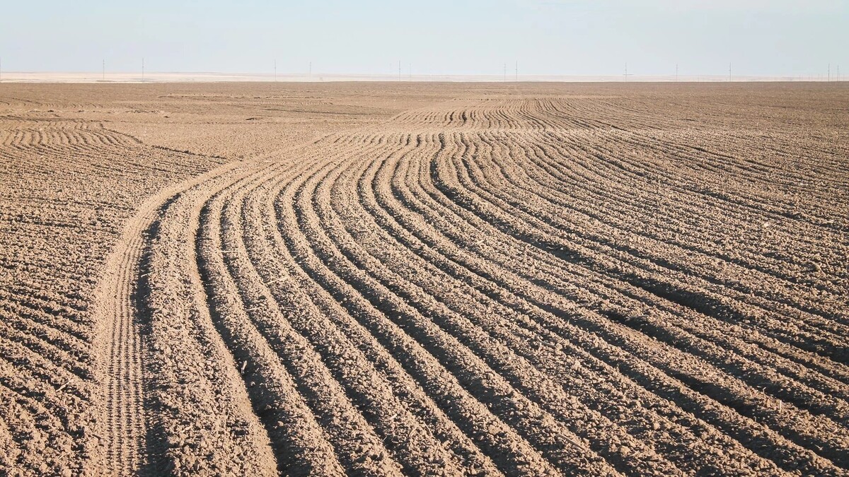     Источник: 1MI