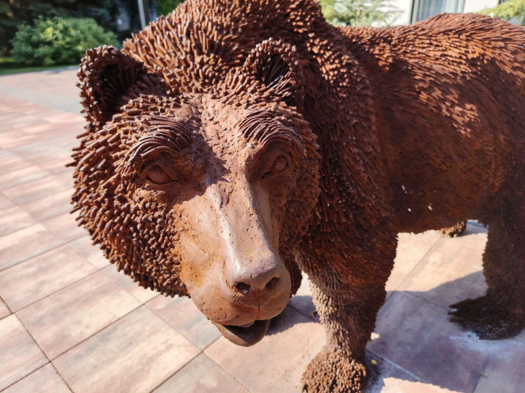    photo_2025-07-06_09-13-40