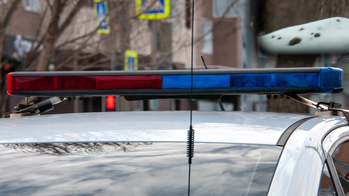    Фото: Svetlana Vozmilova/globallookpress.com