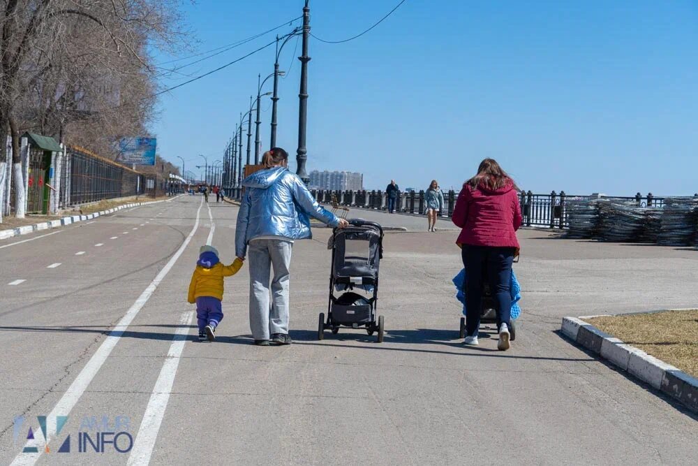   Фото: Амур.инфо
