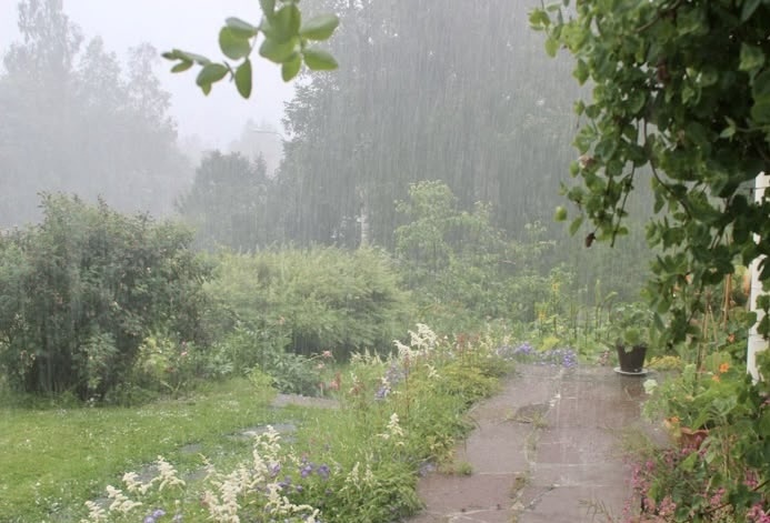 Фото из интернета