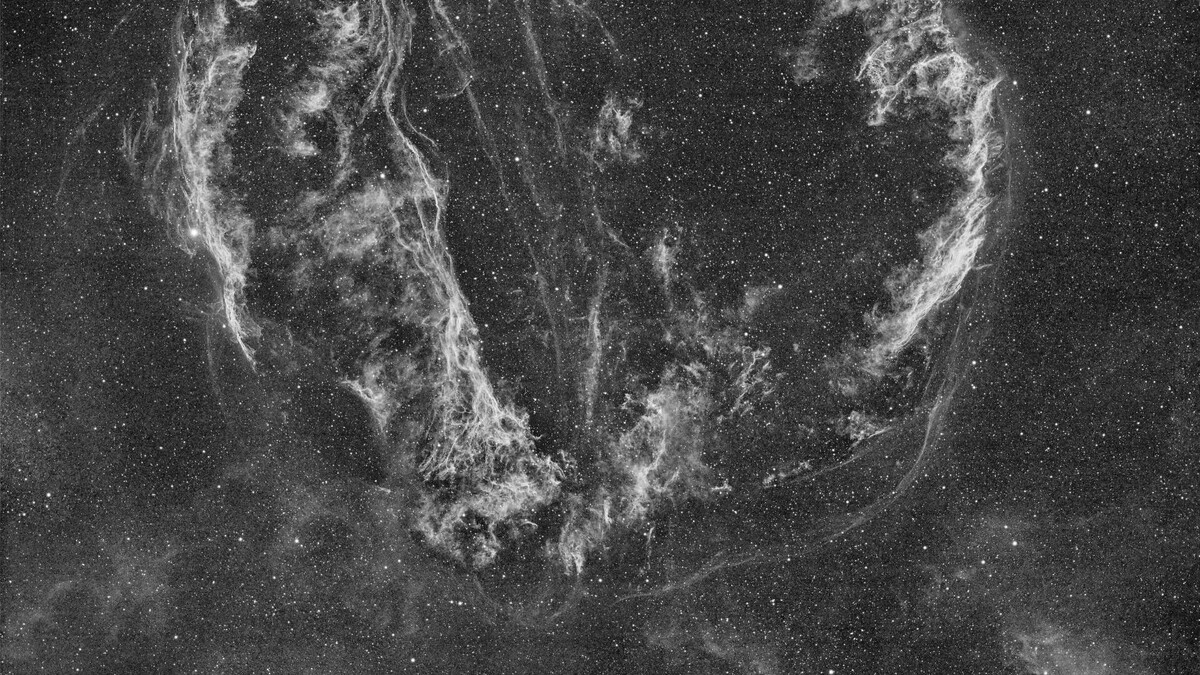     Источник: Алексей Поляков, ВКонтакте