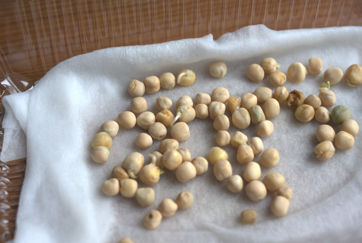 гороховые усики, 2 дня