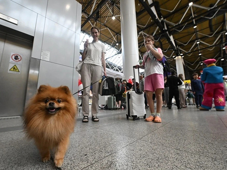     Фото: Иван МАКЕЕВ