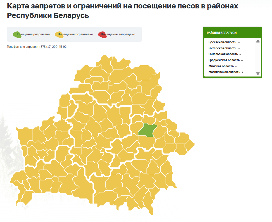 Штраф до 1260 BYN. Минлесхоз запретил въезд машин в лес почти во всей Беларуси. А если пешком?