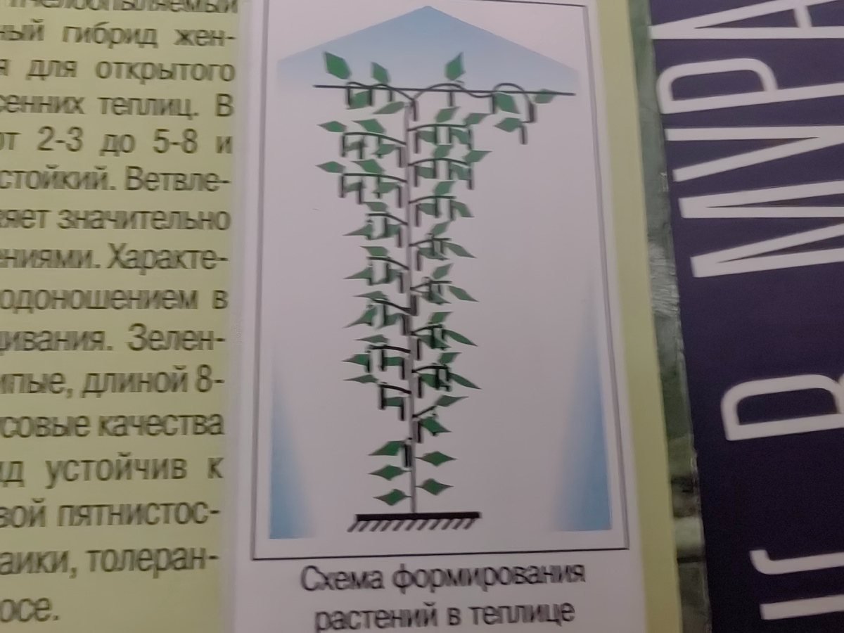 -3