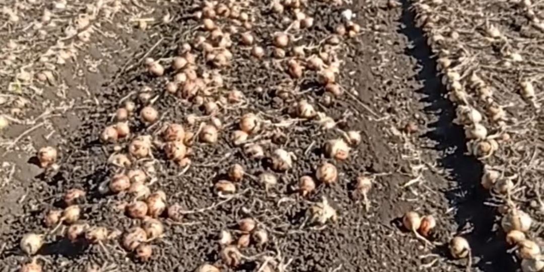 Физический труд- это не в офисе сидеть