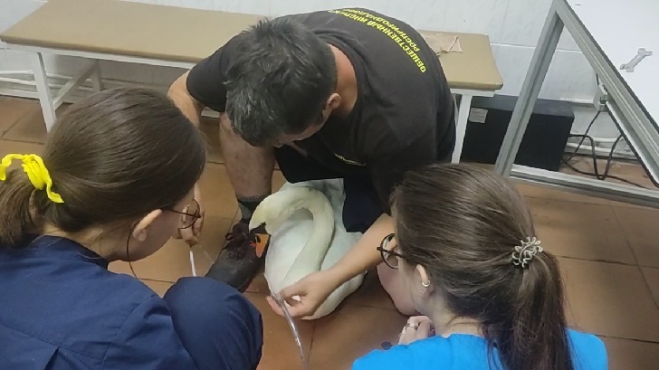    Фото: ЦРДЖ «Пин и Пуф»