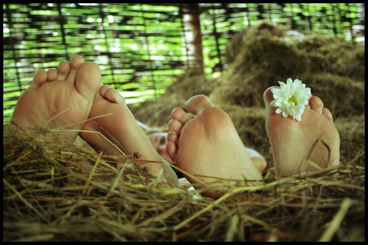 картинка из интернета