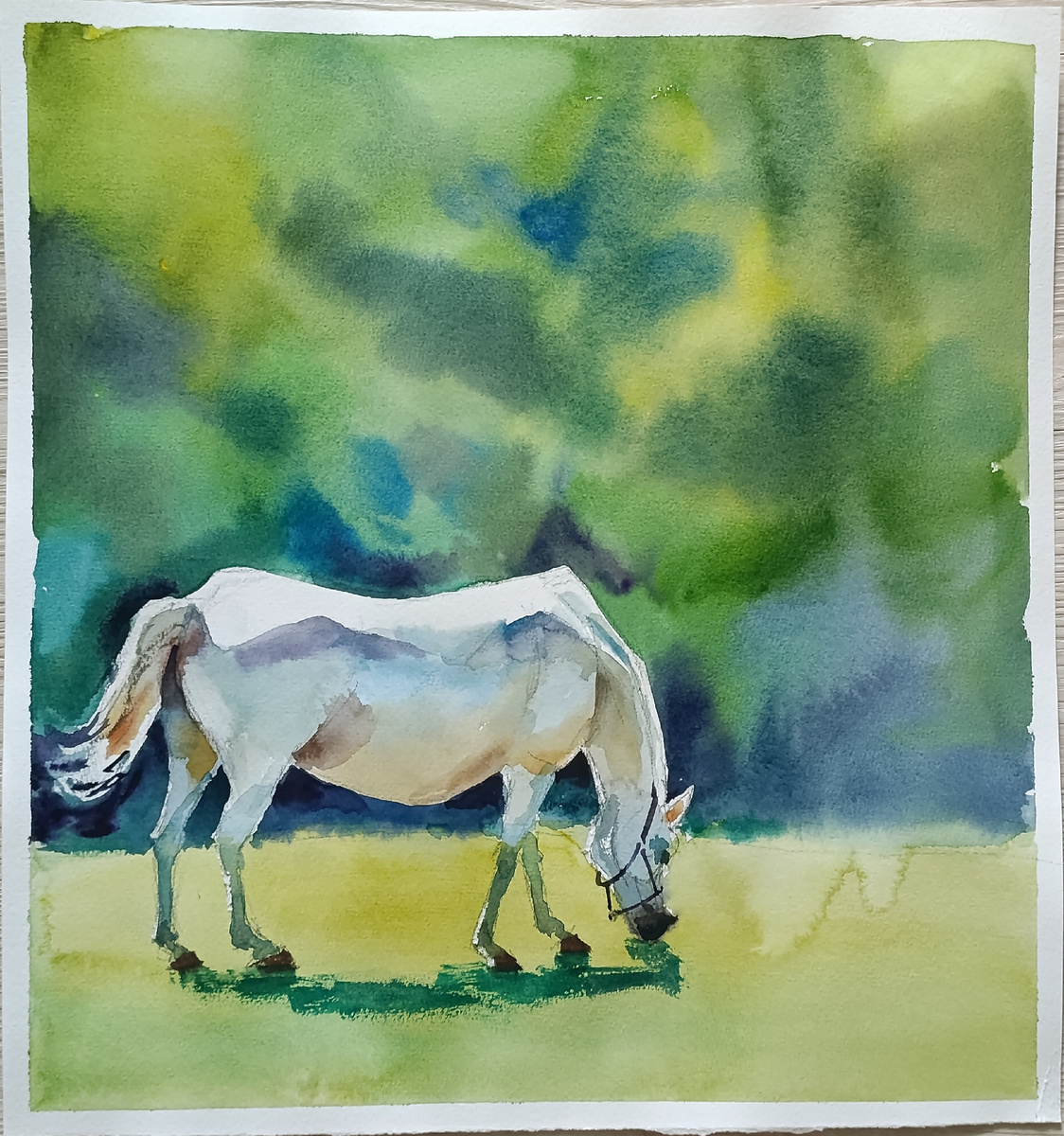 Белая лошадь.