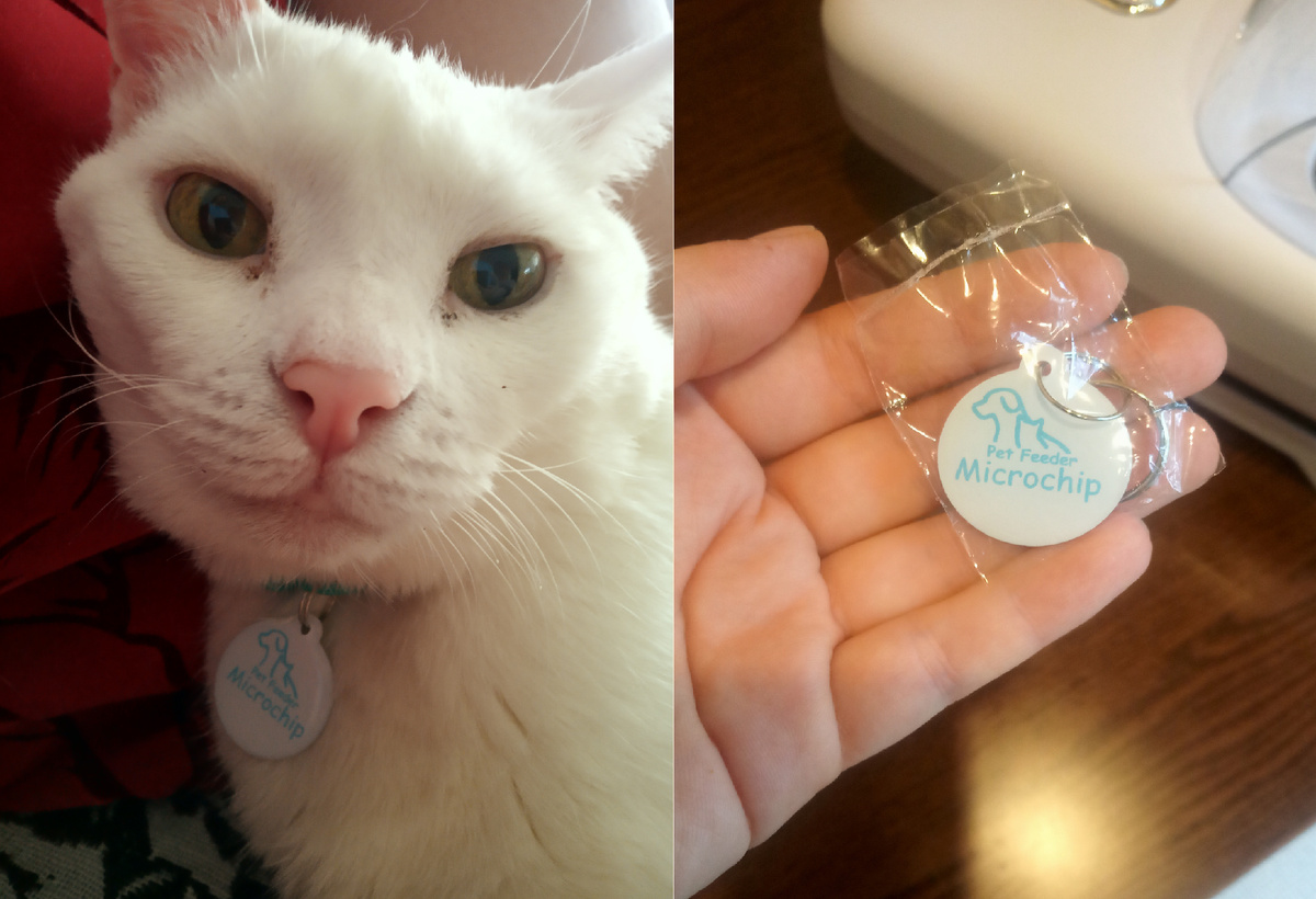 Сам чип идет в комплекте к кормушке в количестве 2 штук. Ошейник вы покупаете сами.