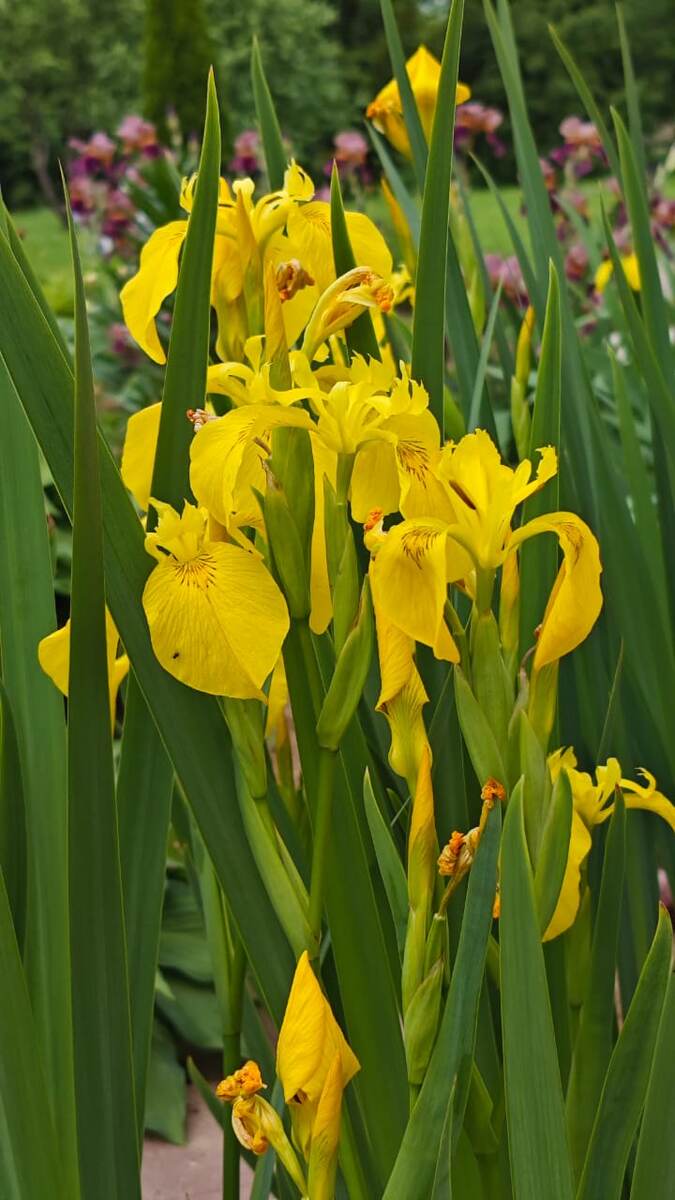 Фото автора канала