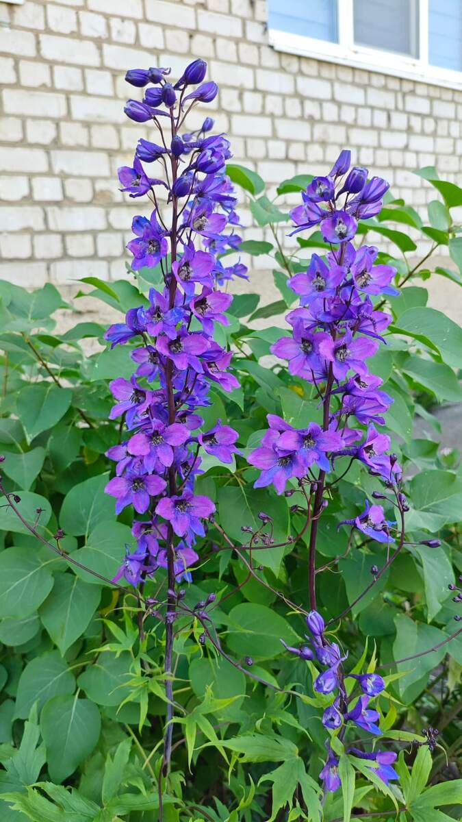 Фото автора канала