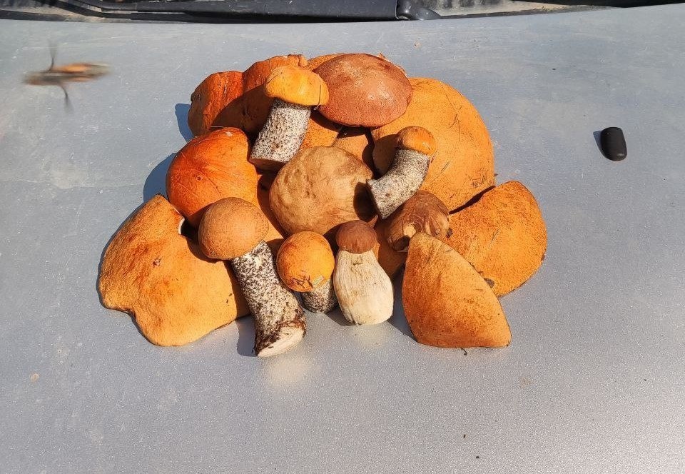    Фото: Артур Парфенчиков