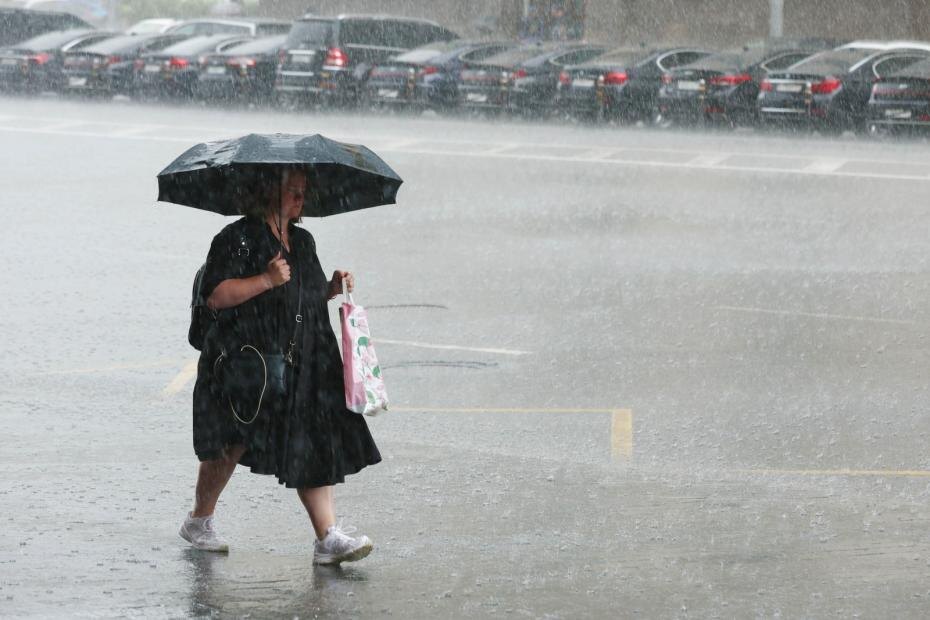    Сергей Петров/NEWS.ru