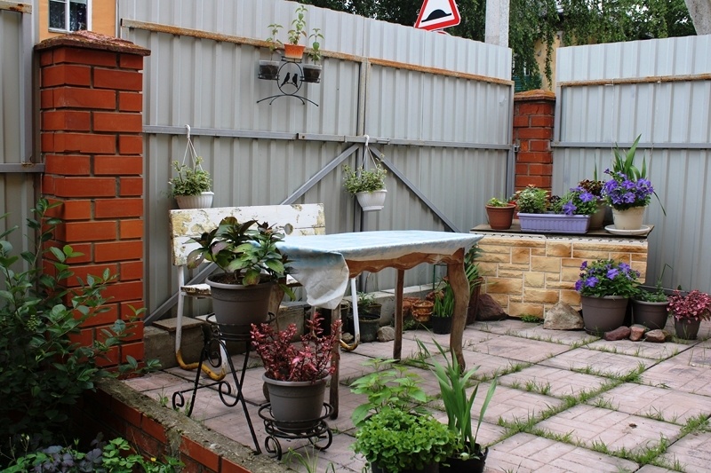 Деревенское патио в 2025 году