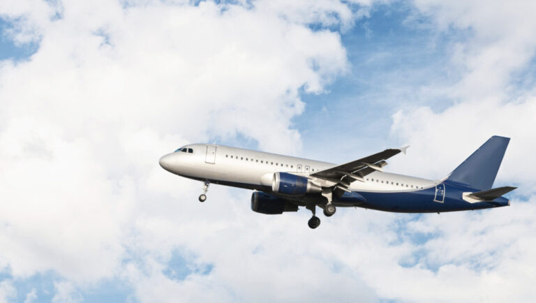    Фото: freepik.com/Racool_studio Ольга Чистова