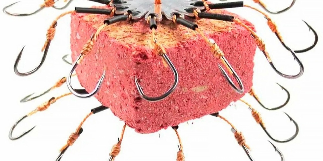 Макушатник для успешной ловли Сазана, Амура на Волге и Ахтубе. Чем же он так хорош?