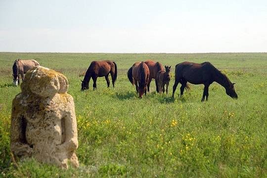    В России создадут новый природный заповедник